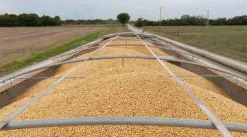 تصاعد أسعار المحاصيل الأساسية عالميًا تأثرًا باضطراب الإمدادات بسبب الحرب على إيران